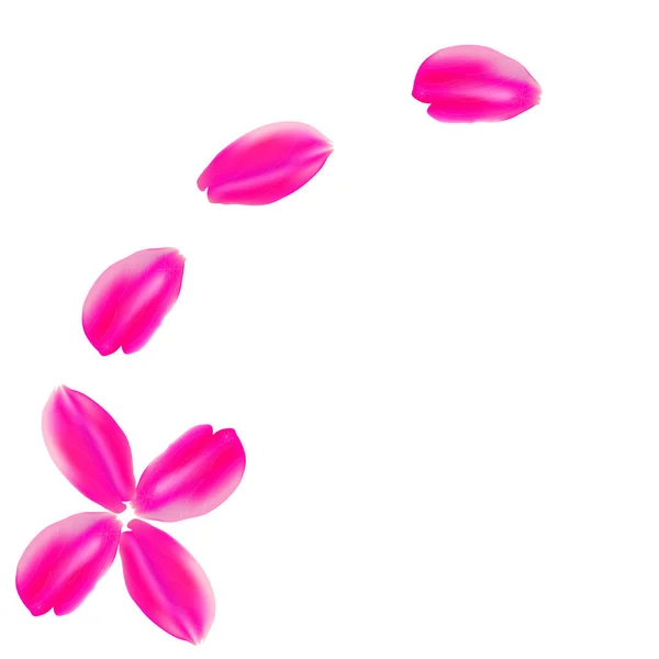 矢量图解 设置粉红玫瑰花瓣 白人背景 — 图库矢量图片