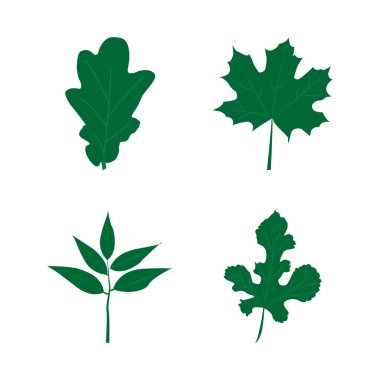 Yeşil yaprakları beyaz arka plan üzerinde izole kümesi. Düz stil