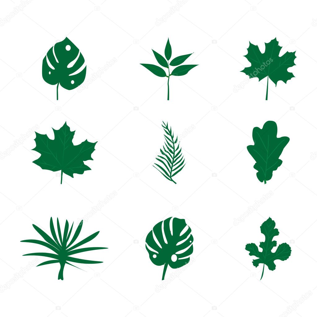 Set of green leaves isolated on white background. Flat style