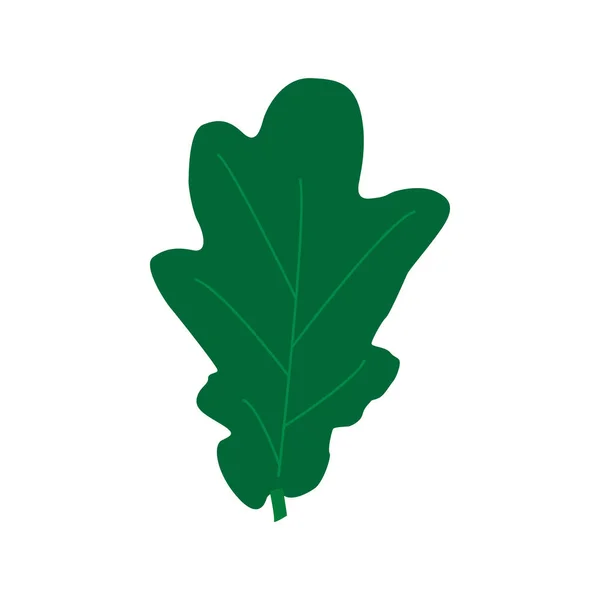 Groene eikenbladeren geïsoleerd op een witte achtergrond. Vlakke stijl — Stockvector