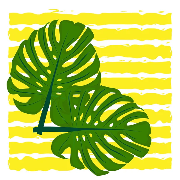 Feuilles de plantes tropicales Monstera sur le fond de bandes jaunes horizontales — Image vectorielle