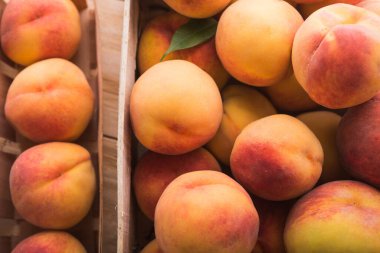 Arka planda olgun şeftalinin kapağını kapat