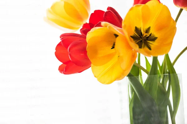 Flores Vermelhas Amarelas Brilhantes Tulipas Perto Janela Mesa Cozinha — Fotografia de Stock