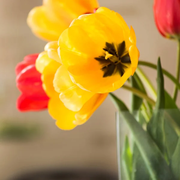Jasne Czerwone Żółte Kwiaty Tulipany Przy Oknie Przy Stole Kuchennym — Zdjęcie stockowe