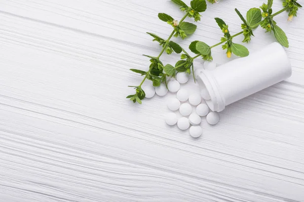 Pastillas Blancas Con Hoja Verde Sobre Fondo Blanco — Foto de Stock