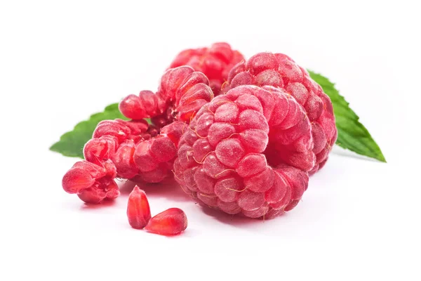 Red Ripe Raspberry Berry Seed Isolated White Background — Stock Photo, Image