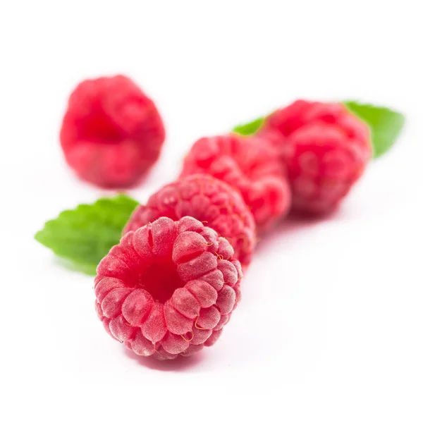 Fresh Red Raspberry Wuth Green Leaf Isolated White Background — Stock Photo, Image
