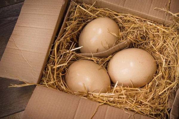 huge ostrich eggs in the hay box