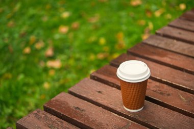 Kağıt bardak, parktaki ahşap bankta kahveyi götürür, soğuk sonbahar havasında. 