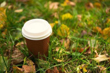 Sarı yapraklı yeşil çimenlikte kağıt kahve fincanı, soğuk sonbahar havası.