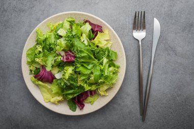 Taze yeşil salata, marul ve roka ile taş masada. diyet konsepti. Vejetaryen yemeği. en üstteki görünüm