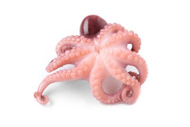 Beyaz arka planda küçük bir ahtapot izole edilmiş. Deniz ürünleri yemeği..