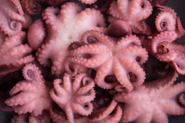 Salamuraya yatırılmış küçük ahtapot. Asya gıda geçmişi.