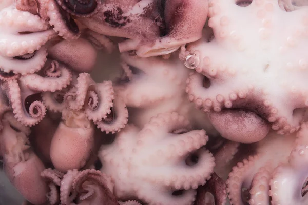 Small Octopus Background Seafood Meal Top View — Stock Photo, Image