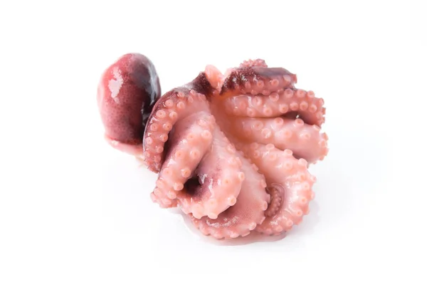 Malá Chobotnice Izolovaná Bílém Pozadí Jídlo Mořských Plodů — Stock fotografie