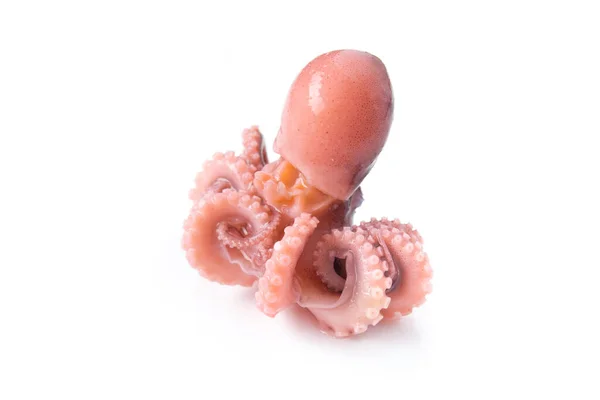 Невеликий Восьминогий Ізольований Білому Тлі Страви Морепродуктів — стокове фото