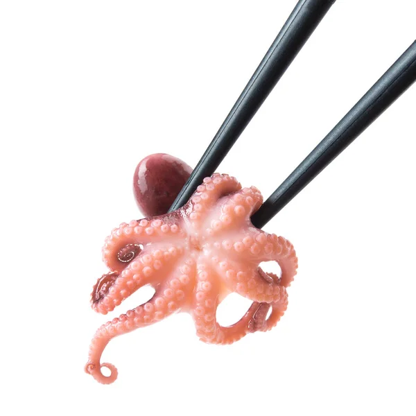 小章鱼与筷子隔离在一个白色的背景 海鲜餐 — 图库照片