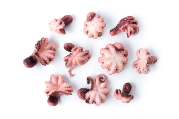 Malá Chobotnice Izolovaná Bílém Pozadí Jídlo Mořských Plodů Horní Pohled — Stock fotografie