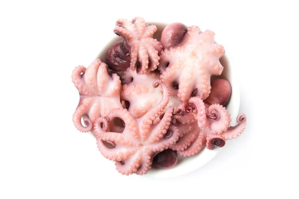 Pulpo Pequeño Aislado Sobre Fondo Blanco Comida Mariscos Vista Superior — Foto de Stock