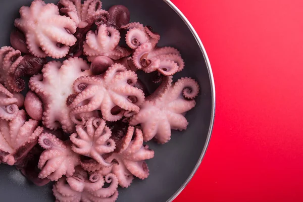 Kleine Inktvis Een Rode Koekenpan Aziatisch Eten Rode Achtergrond — Stockfoto