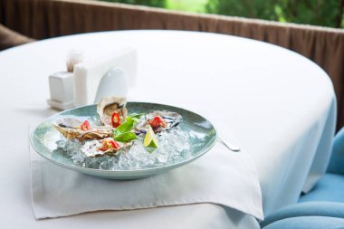 Kafe masasındaki tabakta içi kağıt ve limonla doldurulmuş açık istiridye. Lezzetli deniz ürünleri