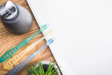 İskandinav tarzı banyoda diş fırçaları, ahşap ve taş malzemeler. Üst görünüm.