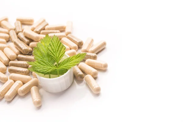 Herbal Medical Capsule Green Leaf Isolated White Background Pills Natural — Stock Photo, Image