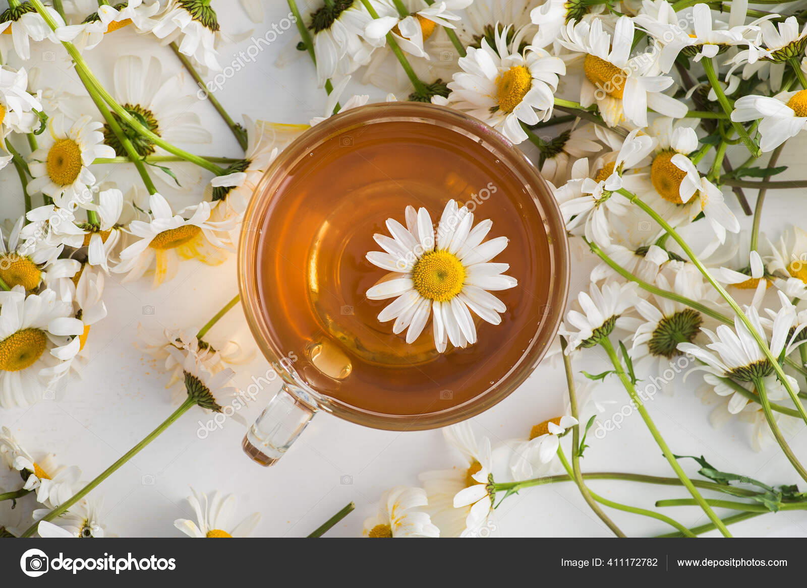 白い背景にカモミールの花とハーブティーとグラスカップ 健康的な飲み物だ トップビュー ストック写真 C Dimasobkod 白い背景にカモミールの花とハーブティーとグラスカップ 健康的な飲み物だ トップビュー ストック写真 C Dimasobkod