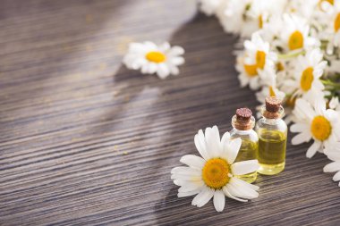 Cam şişe, ahşap bir masada çiçekli papatya yağı aromalı. Kozmetik ve tıbbi organik sıvı kavramı. metin için yer