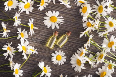 Cam şişe, ahşap bir masada çiçekli papatya yağı aromalı. Kozmetik ve tıbbi organik sıvı kavramı. Üst Manzara. düz yat