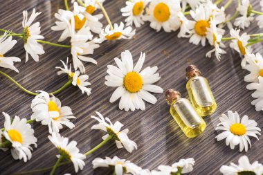 Cam şişe, ahşap bir masada çiçekli papatya yağı aromalı. Kozmetik ve tıbbi organik sıvı kavramı. Üst Manzara. düz yat