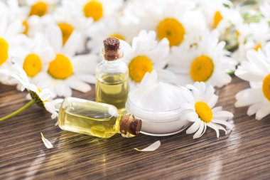 Şişe yakın çekim ve ahşap masanın üzerinde papatya yağı ve kreması var. kaplıca ve vücut için güzellik kozmetiği.