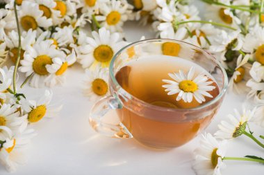 Beyaz arka planda papatya çiçekli bitki çayı. Sağlıklı içecek..