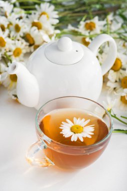 Beyaz arka planda papatya çiçekli bitki çayı. Sağlıklı içecek..