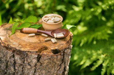 Ormandaki bir ağaç kütüğünün üzerinde ilaç tedavisi için bitkisel hap kapsülü. Doğal organik sağlık hizmetleri.