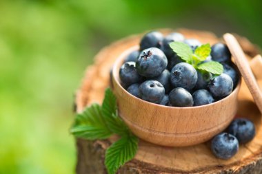 Taze ve doğal yaban mersini, kökü yeşil bir arka planda nane yaprağı. Çiftçilik ve böğürtlen hasadı. Boşluk metni kopyala