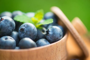 Taze ve doğal yaban mersini, kökü yeşil bir arka planda nane yaprağı. Çiftçilik ve böğürtlen toplama.