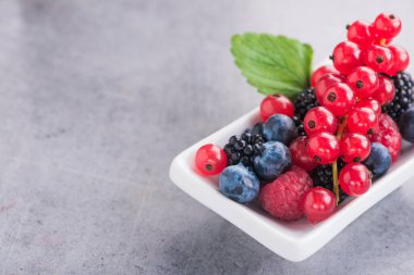 Taze böğürtlen, üzümlü, yaban mersinli, ahududu arkaplanlı. Vitamin karışımı. Boşluk metni kopyala