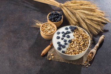 Bir kase ev yapımı gevrek yoğurt, taze yaban mersini ve arkaplanda buğday tohumu. Sağlıklı sabah kahvaltısı.