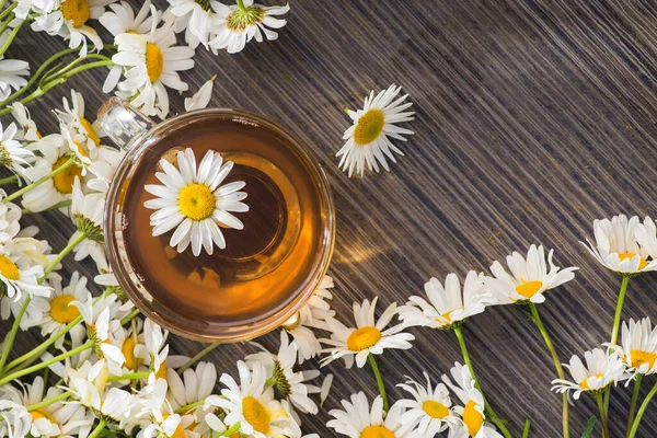 Coupe Verre Avec Tisane Aux Fleurs Camomille Sur Fond Bois — Photo