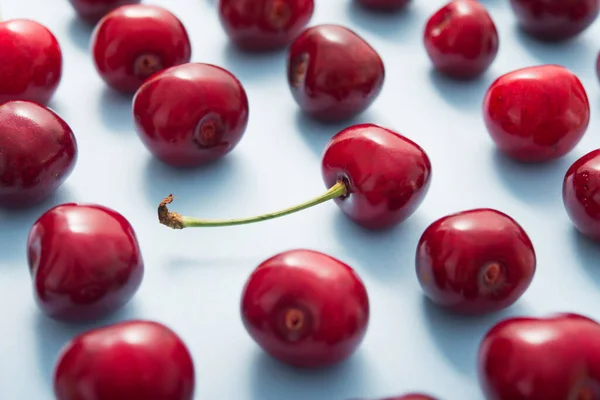 Cerezas Rojas Frescas Sobre Patrón Fondo Color Pastel Azul Alimentos — Foto de Stock