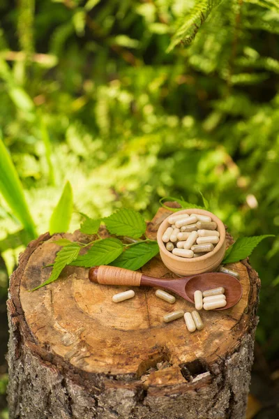 Ormandaki bir ağaç kütüğünün üzerinde ilaç tedavisi için bitkisel hap kapsülü. Doğal organik sağlık hizmetleri.