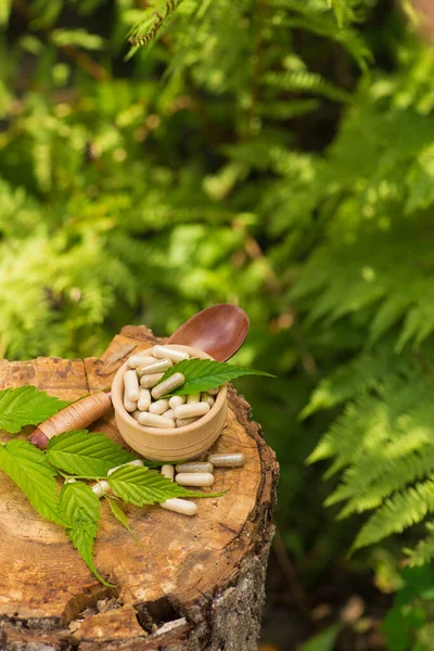 Ormandaki bir ağaç kütüğünün üzerinde ilaç tedavisi için bitkisel hap kapsülü. Doğal organik sağlık hizmetleri.