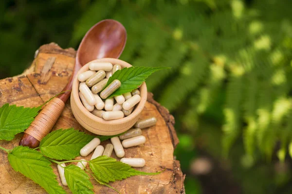 Ormandaki bir ağaç kütüğünün üzerinde ilaç tedavisi için bitkisel hap kapsülü. Doğal organik sağlık hizmetleri. Boşluğu kopyala