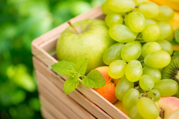 Mand Met Vers Fruit Met Banaan Appel Druiven Groene Kiwi — Stockfoto