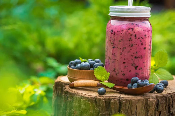Yeşil bahçede böğürtlen suyu ve böğürtlenli bir şişe. Doğal ve tatlı tatlı detoks organik içecek..