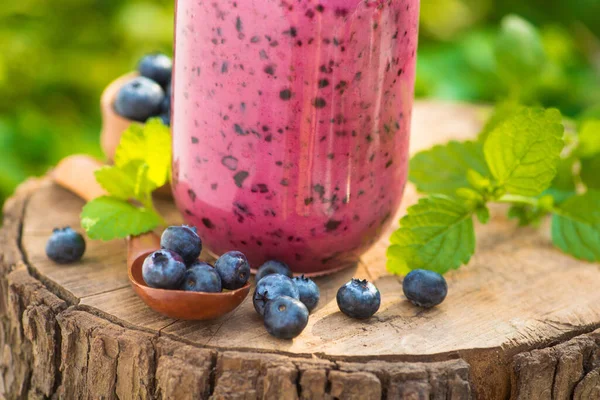 Yeşil bahçede böğürtlen suyu ve böğürtlenli bir şişe. Doğal ve tatlı tatlı detoks organik içecek..
