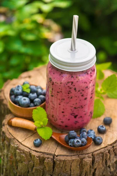 Yeşil bahçede böğürtlen suyu ve böğürtlenli bir şişe. Doğal ve tatlı tatlı detoks organik içecek..