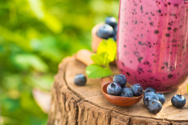 Bottle with blueberry smoothie and berry on a stump in the green garden. Natural and sweet dessert detox organic drink.