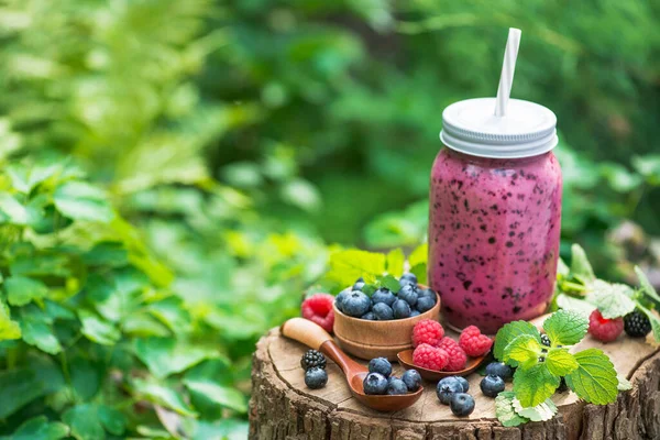 Böğürtlen, ahududu, üzümlü meyve suyu ve böğürtlenli yeşil bir bahçede ev yapımı bir şişe. Doğal ve tatlı tatlı detoks organik içecek..